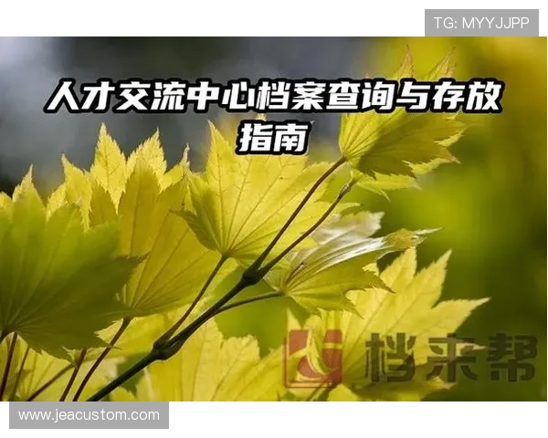 万博官网用户登录步骤简明指南帮你快速进入账号